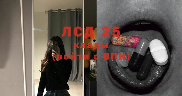 ПСИЛОЦИБИНОВЫЕ ГРИБЫ Магас