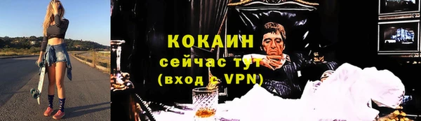 ПСИЛОЦИБИНОВЫЕ ГРИБЫ Магас