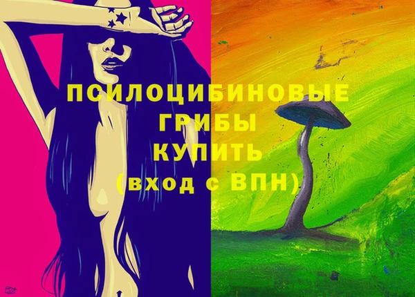 ПСИЛОЦИБИНОВЫЕ ГРИБЫ Магас