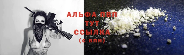 ПСИЛОЦИБИНОВЫЕ ГРИБЫ Магас