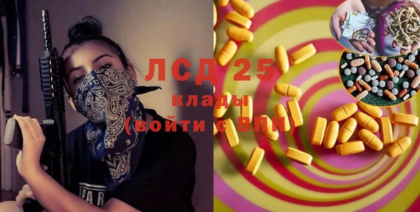 ПСИЛОЦИБИНОВЫЕ ГРИБЫ Магас