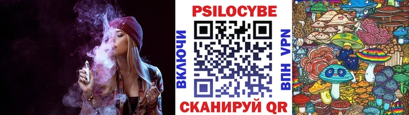 Псилоцибиновые грибы Psilocybine cubensis Купить где Лагань