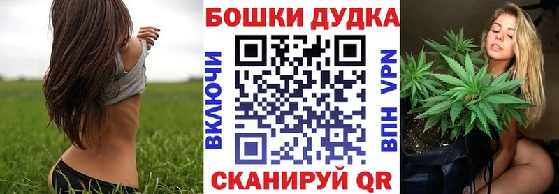 Купить где  Лагань  Бошки Шишки планчик 